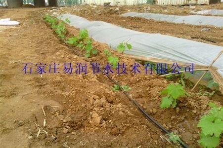 大棚农用*滴灌设备-浇水塑料管|供应朝阳区