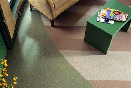 常州pvc地板 家庭塑胶地板 生活适用pvc地板 地胶